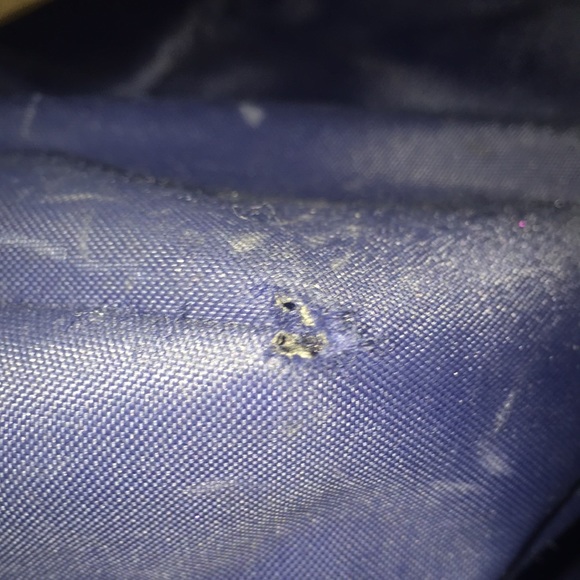 Reposhing Authentic Longchamp tote - Picture 7 of 10